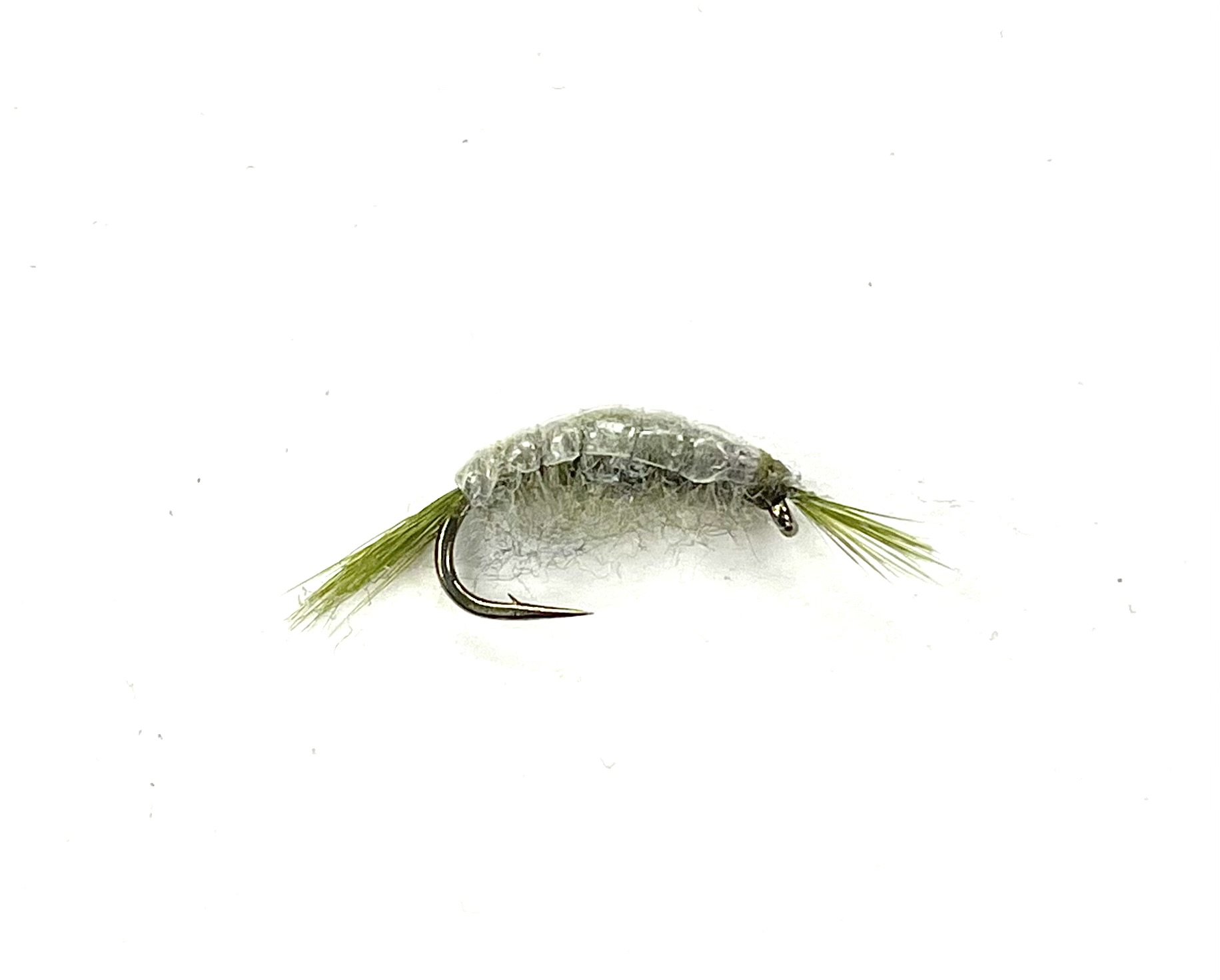 Kaufmann's Scud